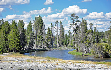 A river at Yellowstone