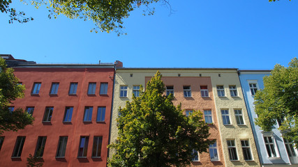 Grünes Berlin: Altbaufassaden in Mitte, Straßenbäume