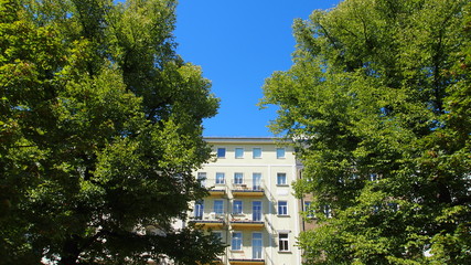 Grünes Berlin: Altbaufassaden in Mitte, Straßenbäume
