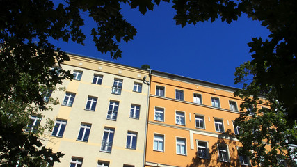 Grünes Berlin: Altbaufassaden in Mitte, Straßenbäume
