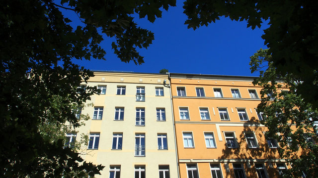 Grünes Berlin: Altbaufassaden in Mitte, Straßenbäume
