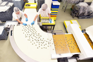 Menschen bei der Arbeit am Fliessband in einer Fabrik für Süßigkeiten // People working on the assembly line in a candy factory - obrazy, fototapety, plakaty