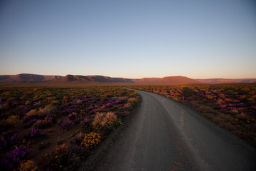 Naklejka premium Last light