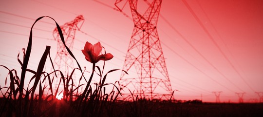 The evening electricity pylon silhouette