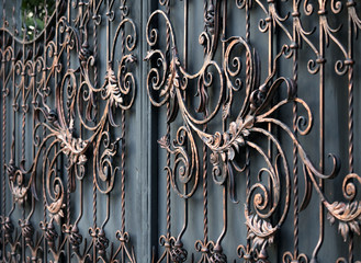 Details, structure and ornaments of forged iron gate.