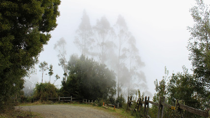 Piedra Mesa, Lago Ranco, Chile