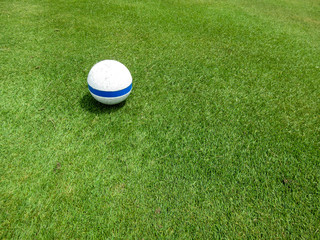 Blue tee box marker on a golf course