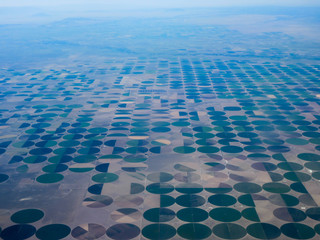 Circular crops from center pivot irrigation systems