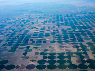 Circular crops from center pivot irrigation systems
