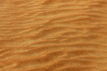 Desert in United Arab Emirates.