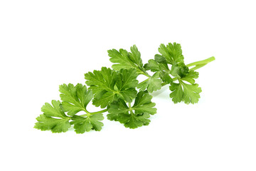 Parsley isolated.