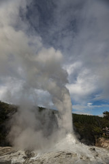 Lady Knox Geyser, NZ