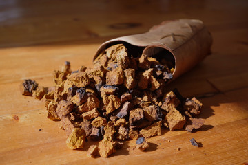 Chaga Mushroom ( Inonotus obliquus )  Crushed Chunks / Powder coming out of a birch box