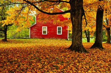 Autumn in Vermont