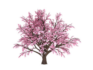 Obraz premium Autumnal element, orange isolated tree on a white background. 3d illustration, 3d rendering.