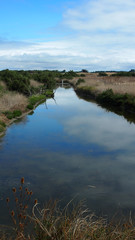 Ile de Ré: Salzwiesen, Marais, Naturschutzgebiet Lilleau des Niges