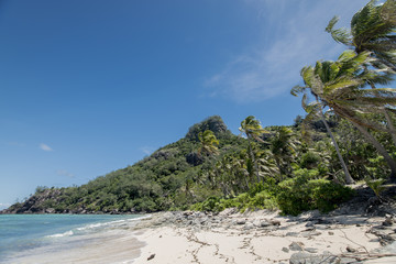 Fototapeta premium Beach on an uninhabited island (Fiji) with Palm Trees