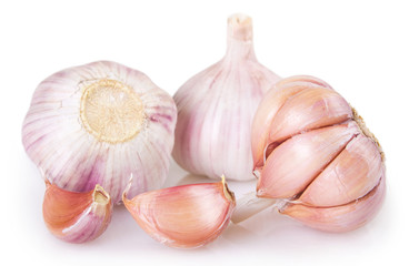 Fresh garlic on white background