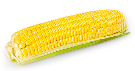 Fresh corn on white background © valery121283