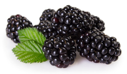 Fresh blackberry on white background