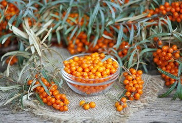 Seaberries jam , sea-buckthorn, sea buckthorn oil