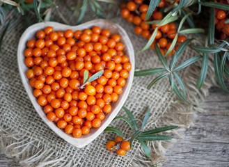 Seaberries jam , sea-buckthorn, sea buckthorn oil