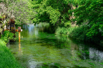 信州安曇野　大王わさび農場の清流
