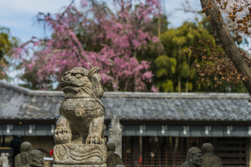 Fototapeta na wymiar Japanese garden behind trees