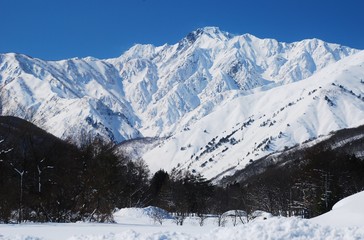 Fototapeta premium Hakuba / Nagano ~ winter season