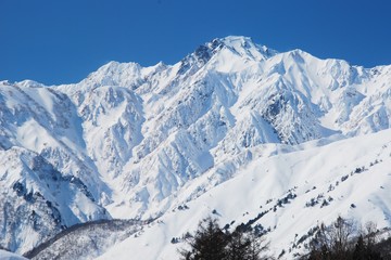 Obraz premium Hakuba / Nagano ~ winter season
