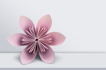 Pink paper origami flower on white background