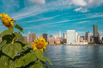 Kissenbezug Manhattan view from Gantry park in the beautiful early morning.  Sunflowers in the foreground © auseklis