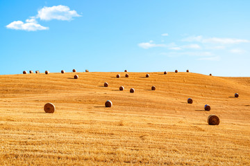 Fototapeta premium Tuscany, Italy