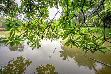 Sri Nakhon Khuean Khan Park and Botanical Garden (Bang Kachao), is a garden with green nature....