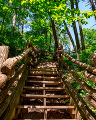 Nature In Pennsylvania