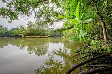 Sri Nakhon Khuean Khan Park and Botanical Garden (Bang Kachao), is a garden with green nature. People are biking. Bird watching or studying the ecological nature of Amphoe Phra Pradaeng, Samut Prakan.