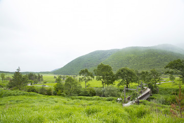 タデ原湿原