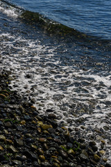 Small round rocks, multicolored, seaweed, calm water with small waves, rocky beach nature background
