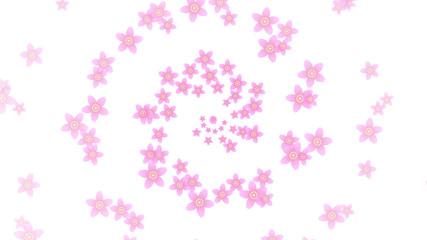 桜・スパイラル