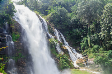 Fototapeta premium Nature stream waterfall in forest.