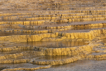 mammoth hot springs  yellowstone