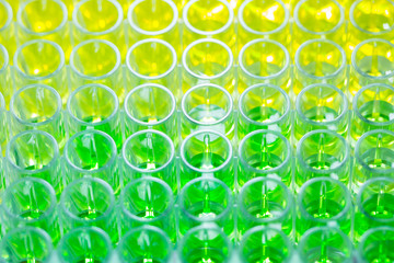 Close - up 96 well plates on lab table with Green and yellow liquid samples