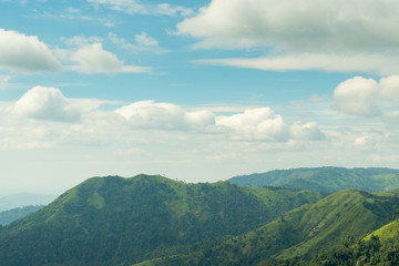 Mountains and forests in the morning.