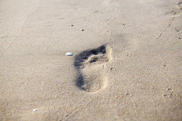 Footprints walking on the beach by the morning , with copy space text