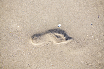 Footprints walking on the beach by the morning , with copy space text