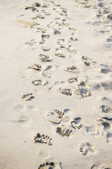 Footprints walking on the beach by the morning , with copy space text