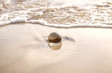 glass ball crystal clear reflecting the sea and beach in the morning