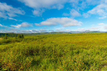 The Dempster Highway North Of The Arctic Circle, Canada