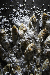 Salted dried fish 