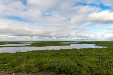 The Arctic As Seen From The Mackenzie Valley Highway From Inuvik to Tuktoyaktuk